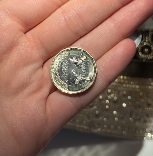 Rare 2025 king charles - king,
