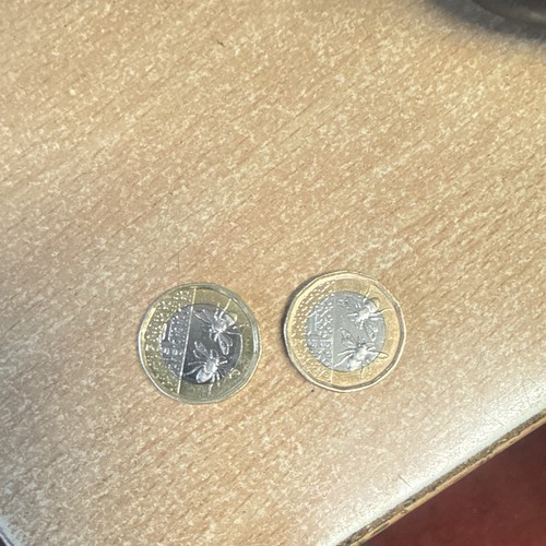 Rare king charles bee - charles/bee, £1