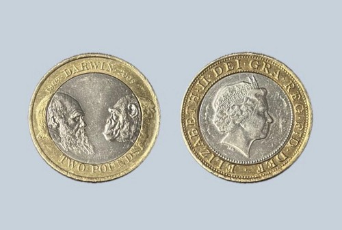 Rare 2009 coin - uk,