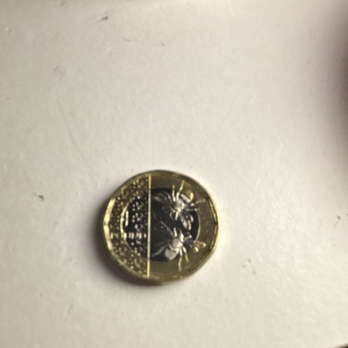 King charles iii bumble - king,