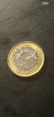 Rare coin two - 🐝,
