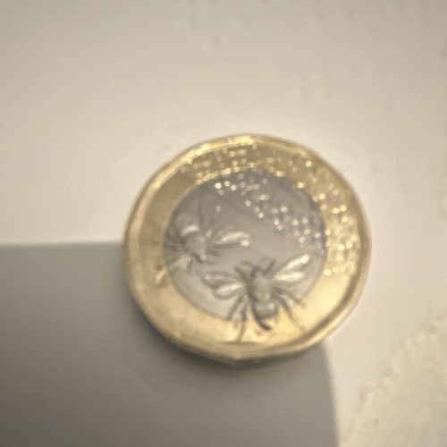 Rare pound coin - rare,