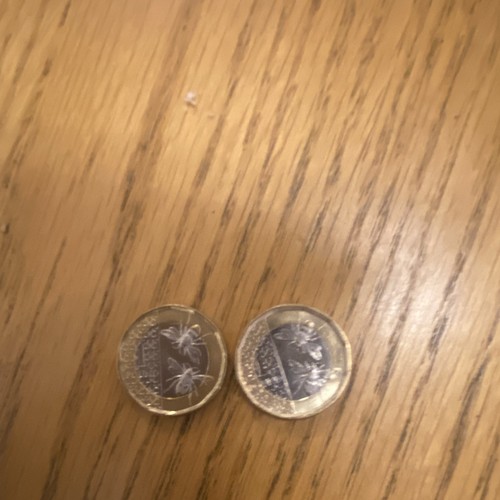Rare bee coins 2025 - bee,