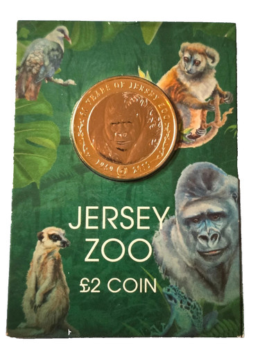 Rare 2019 jersey - 2019,