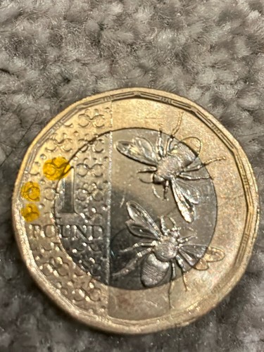 2025 2coin king - king, iii