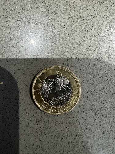 Rare 2025 king charles - rare,