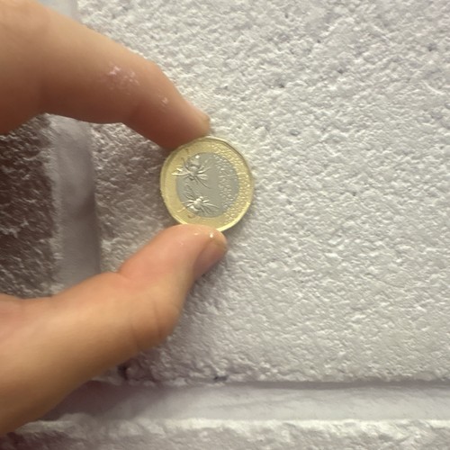 British pound rare - 1,